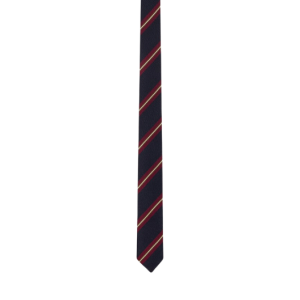 THIN TIE IN STRIPED SILK