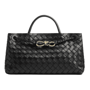 Bottega Veneta Small East West Andiamo Black