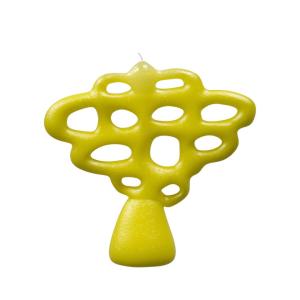 Blooming Candle Big Tree