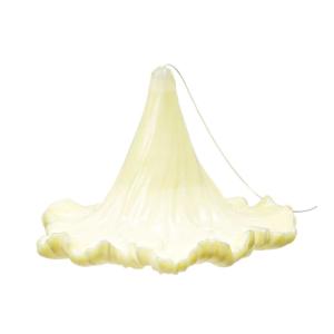 Blooming Candle Morning Glory